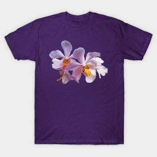 Orchids - Delicate Pink Orchids T-Shirt